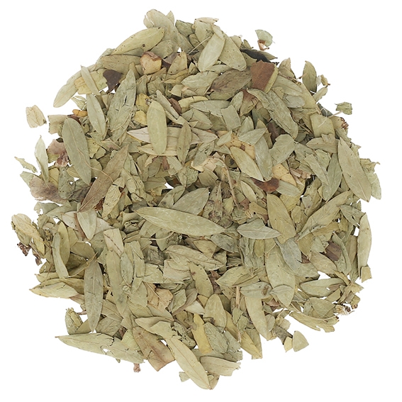 Hojas de Sen (Senna Alexandrina) al por mayor archivos Palo Santo